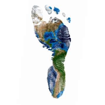 MIgration and the Americas